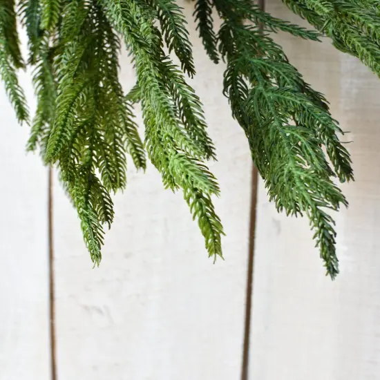 60" RealTouch Norfolk Pine Garland {6}