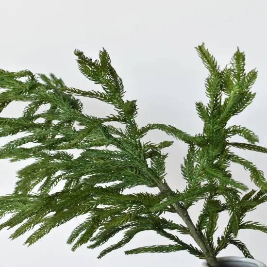 36" RealTouch Norfolk Pine Spray Stem {4}