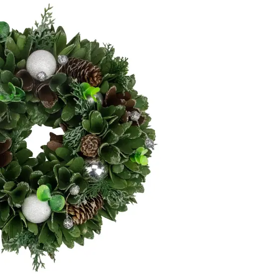 Northlight Artificial Christmas Wreath With Pine Cones and Ornaments - 14" Unlit White {3}