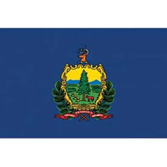Vermont Flag On A Stick 12" x 18" {1}