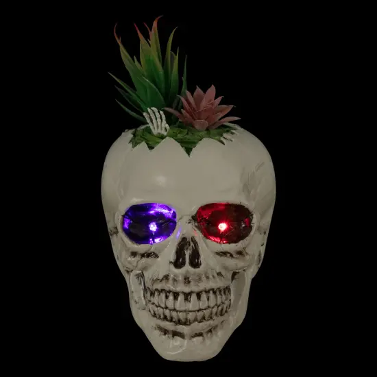 Northlight LED Lighted Succulent Skull Planter Artificial Halloween Decoration - 8.75" White {4}
