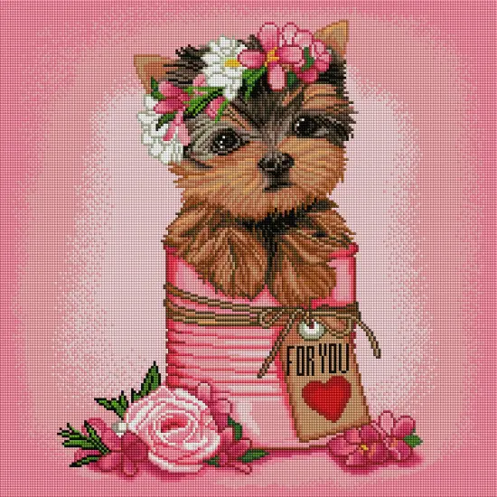 Floral Yorkie Puppy {2}