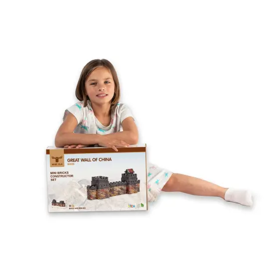 Mini Bricks Construction Set - Great Wall of China {2}