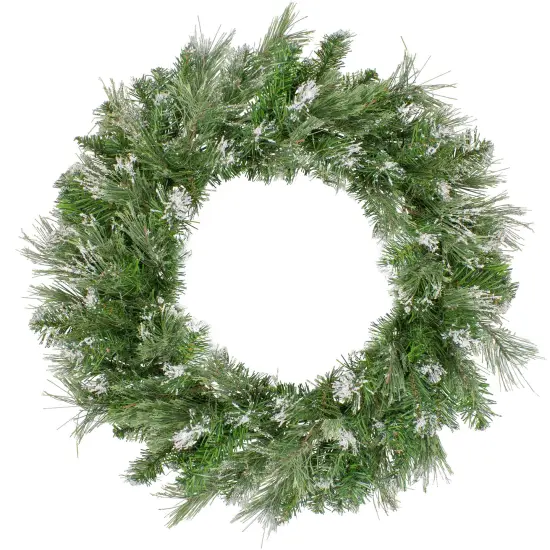 Northlight Snow Mountain Pine Artificial Christmas Wreath - 24" - Unlit Green {1}