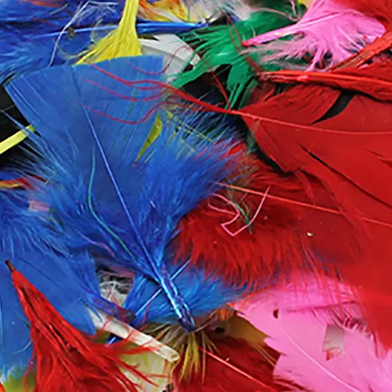 Turkey Feathers, Bright Colors, 14 Grams Per Pack, 12 Packs {3}