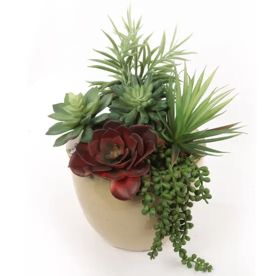 Six Pack Succulent Set, 6 Individual Picks, Natural Sized Artificial Plants, Aloe, Hanging Pearl for Arrangements, Pots, and School Projects, Floral Home by Artificial Flowers {4}