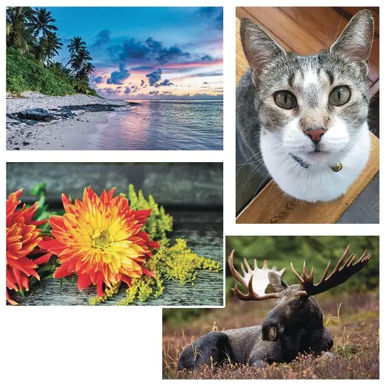 Thera-Jigsaw™ Foam Puzzles Set: Beach Sunset, Cat, Moose, and Yellow Flowers (Set of 4) {1}