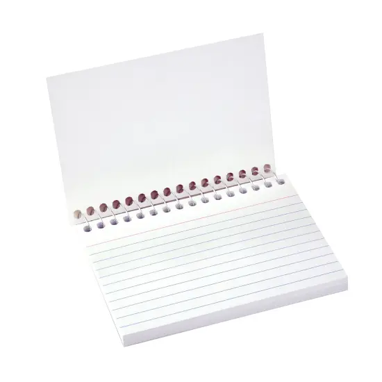 Spiral Bound Index Card Notebook, 4" x 6", Ruled, Pack of 10 {4}