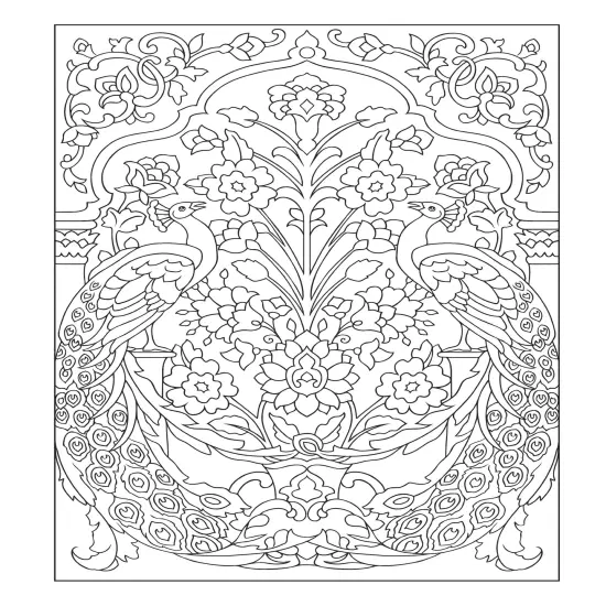 Creative Haven: Peacock Designs Coloring Book-Softcover {4}