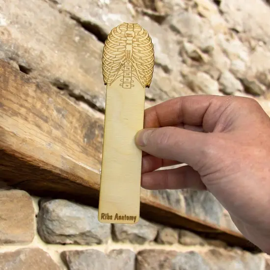 Bookmark - Ribs Anatomy - Birch wood {2}