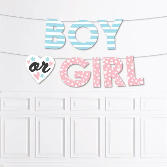 Big Dot of Happiness Baby Gender Reveal - Team Boy or Girl Party Decorations - Boy or Girl - Outdoor Letter Banner {1}