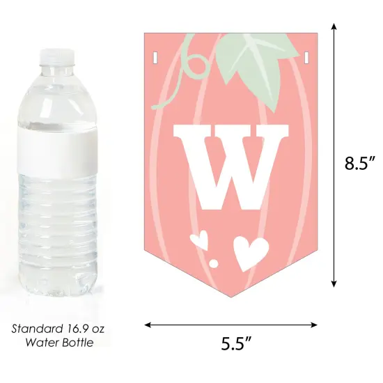 Big Dot of Happiness Girl Little Pumpkin - Fall Baby Shower Bunting Banner - Party Decorations - Welcome Baby {4}