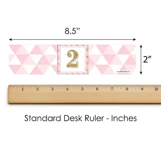 Big Dot of Happiness 2nd Birthday Girl - Two Much Fun - Second Birthday Party Water Bottle Sticker Labels - Set of 20 {6}