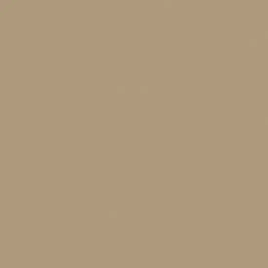 Coats Heavyweight Brass Separating Metal Zipper 24" {1}