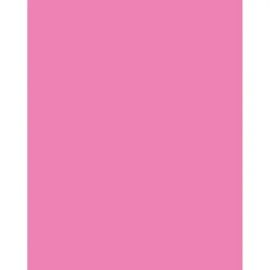 Neon Coated Poster Board, Neon Pink, 22" x 28", 25 Sheets {1}