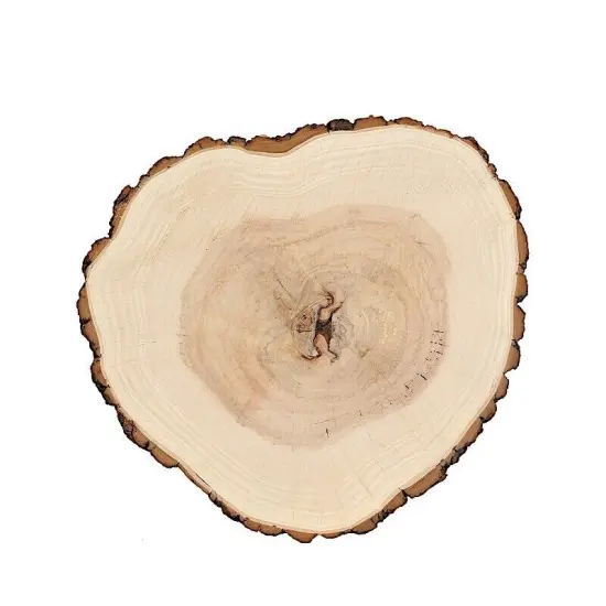 18" wide Natural Round Poplar Wooden Slices {1}