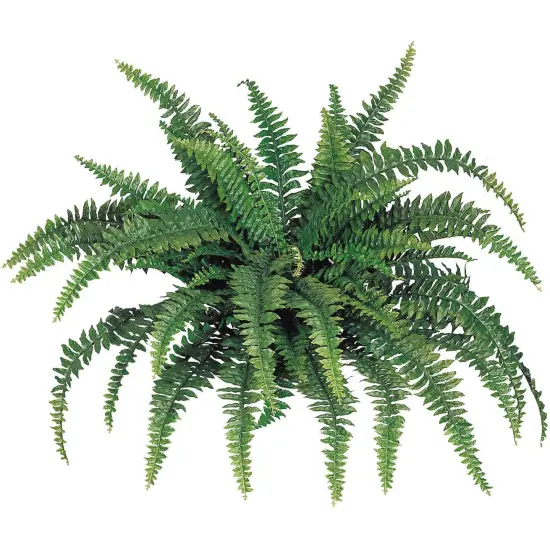 Boston Fern Plant - 48"" Wide, 60 Realistic Silk Fronds, Perfect for Indoor & Outdoor Decor by Floral Home&reg; {1}