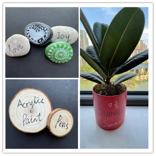 EBOT Acrylic Paint Pen White Black, 6 Pack Black Paint Markers for Rock Wood Fabric Plastic Leather Glass Stone Metal Canvas,Water-Based Acrylic Paint Sets {5}