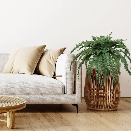 Boston Fern Plant - 48"" Wide, 60 Realistic Silk Fronds, Perfect for Indoor & Outdoor Decor by Floral Home&reg; {3}