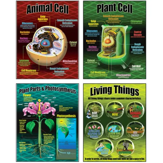 Life Science Teaching Posters, Set of 4 {1}