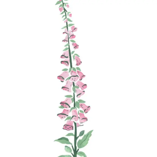 Large Foxglove Flower Wall Stencil | 2608R by Designer Stencils | Floral Stencils | Reusable Art Craft Stencils for Painting on Walls, Canvas, Wood | Reusable Plastic Paint Stencil for Home Makeover | Easy to Use & Clean Art Stencil {2}