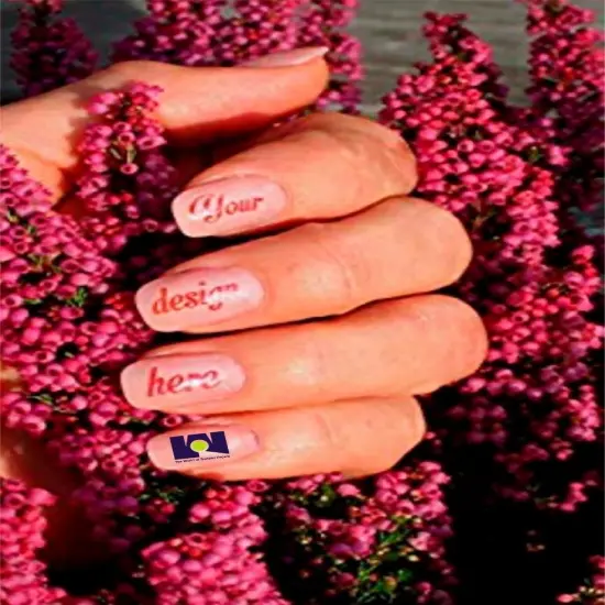 INKJET CLEAR WATERSLIDE FILM Model, Ceramic, Decal Paper 10 sheets 8.5"x11" {4}