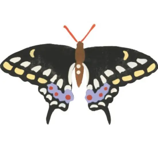 Black Swallowtail Butterfly Wall Stencil | 2686 by Designer Stencils | Animal & Nature Stencils | Reusable Art Craft Stencils for Painting on Walls, Canvas, Wood | Reusable Plastic Paint Stencil for Home Makeover | Easy to Use & Clean Art Stencil {2}