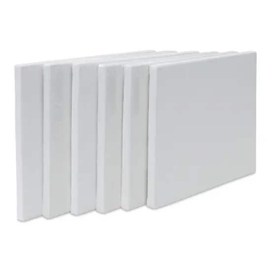 Strathmore 300 Series Slim Frame Stretched Cotton Canvas Pack - 8" x 10", Pkg of 6 {1}