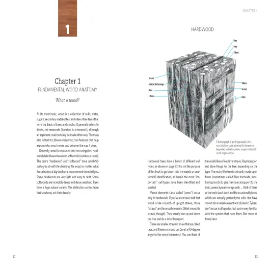 Living with Wood {3}