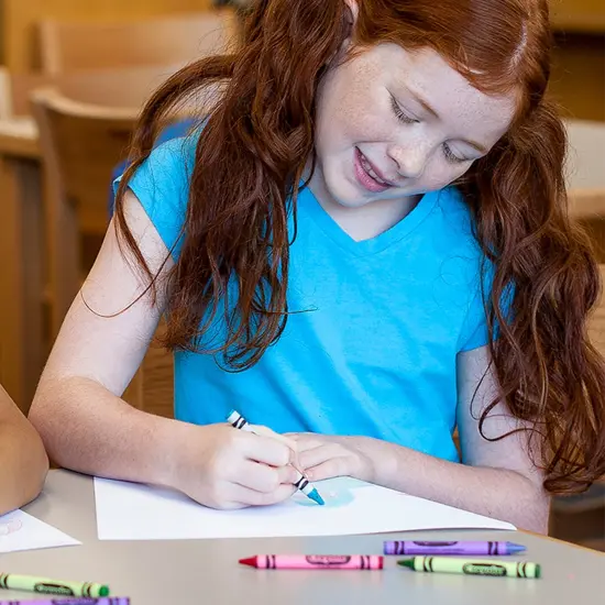 Crayola Washable Crayons-24/Pkg {5}