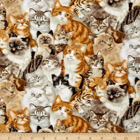 Petpourri~Cats Cotton Fabric by Elizabeth's Studio {2}
