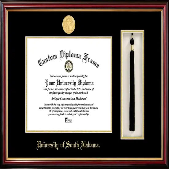 Stanford University 11w x 8.5h Tassel Box and Diploma Frame {1}