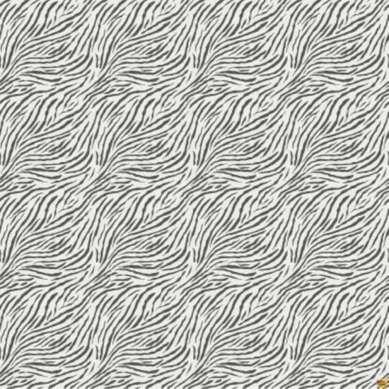 Baby Safari Zebra Stripes Childrens Cotton Fabric by Northcott {2}