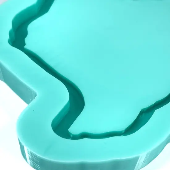 Texas 5.4in Tray (D8) {4}