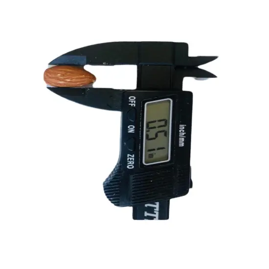 16pc Almonds Silicone Mold| Realistic Peanuts| Food Shaped Mold| Candle| Soap | Embeds. Mold for Wax| Resin| Clay| Not Food Grade {6}