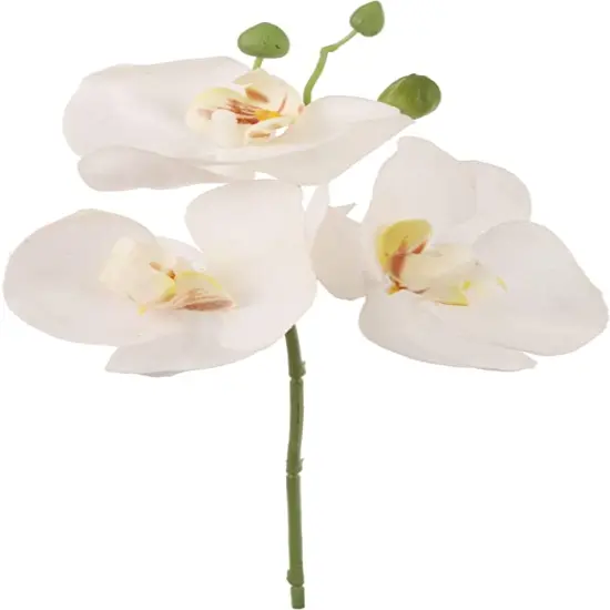 12" White Phalaenopsis Pick - 12-Pack, 3 Lifelike Silk Flowers Per Stem, Elegant Floral D&eacute;cor, Perfect for Events & Home - Ideal for All Seasons, Floral Home by Artificial Flowers {1}