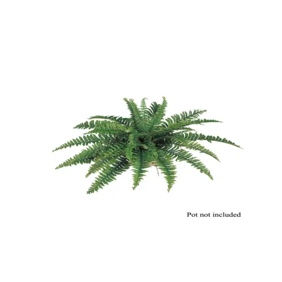 34" Boston Fern Set - 6-Piece, Lush Greenery, Indoor/Outdoor Decor, Ideal for Homes, Offices, or Events - Perfect for Year-Round Display, Floral Home by Artificial Flowers {1}