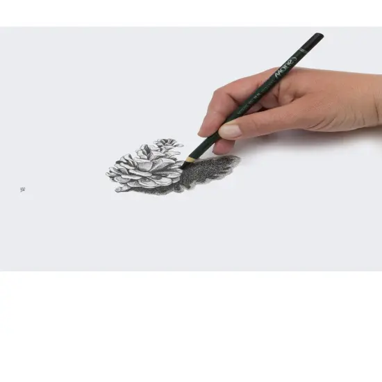 Maries Artist Charcoal Pencil 12 Piece Set, Black Paper Handle Charcoal Pencils for Drawing and Sketching {6}