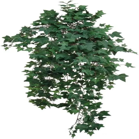Lush 38" Green & White Ivy Artificial Plant - Hanging D&eacute;cor with 701 Needlepoint Leaves for Home, Events & Weddings {1}