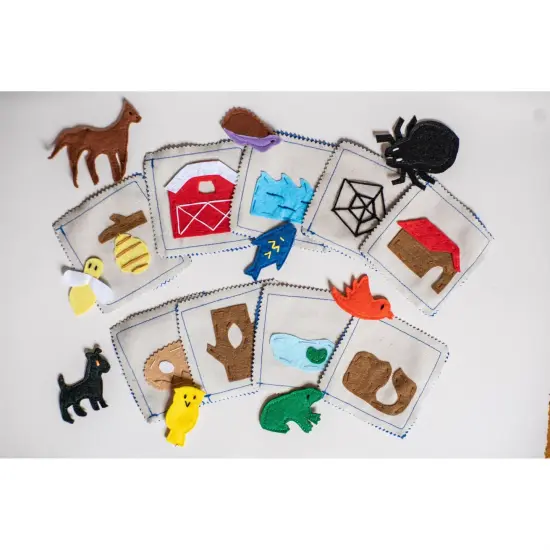 Animal Habitat Matching Game {1}