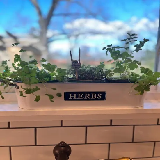 Windowsill Planter - HERBS {1}