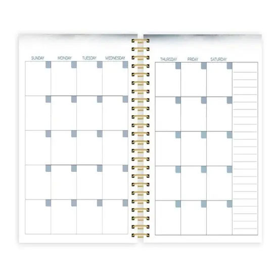 Celestial 12 mo undated planner {3}