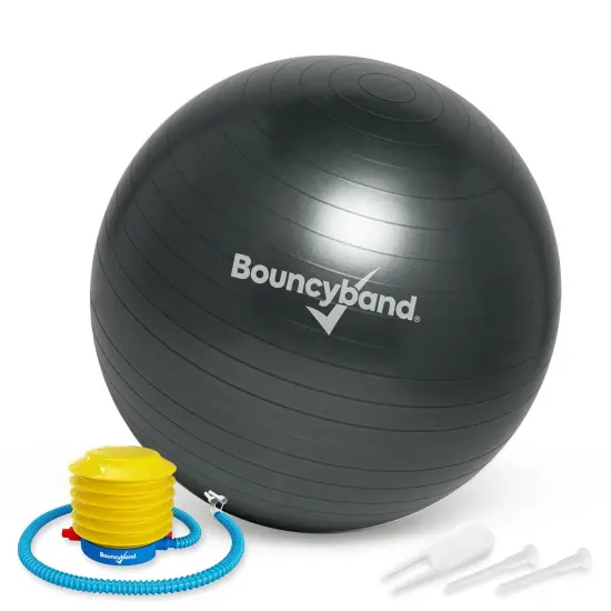 Balance Ball, 65cm, Dark Gray {2}