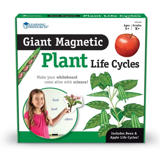 Giant Magnetic Plant Life Cycle, Set of 12 {2}