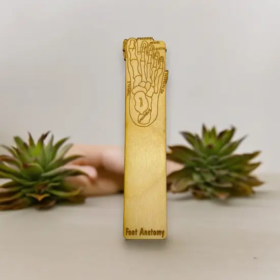 Bookmark - Foot Anotomy - Birch wood {3}