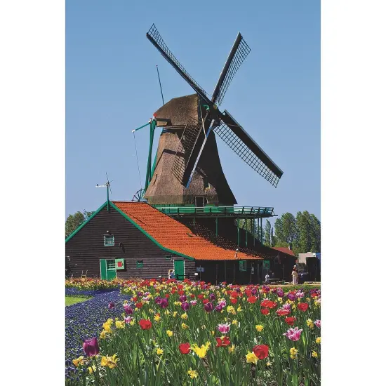 Thera-Jigsaw&trade; Foam Puzzles Set: Dog, Lighthouse, Flower, Windmill (Set of 4) {7}