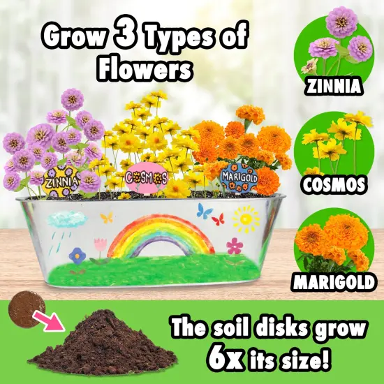 MiracleGro&reg; Paint & Plant My First Flower Growing Kit {6}