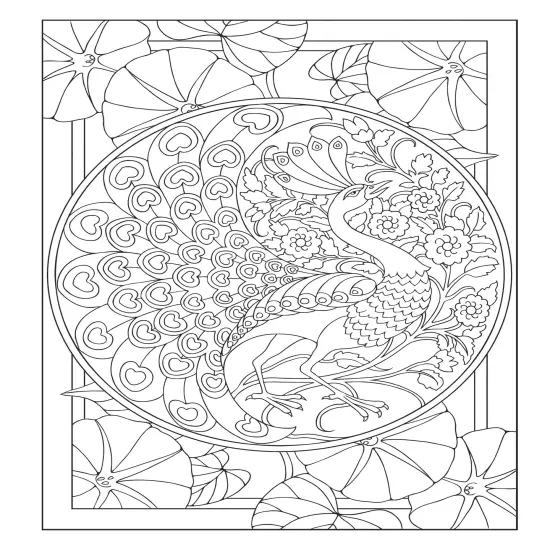 Creative Haven: Peacock Designs Coloring Book-Softcover {5}