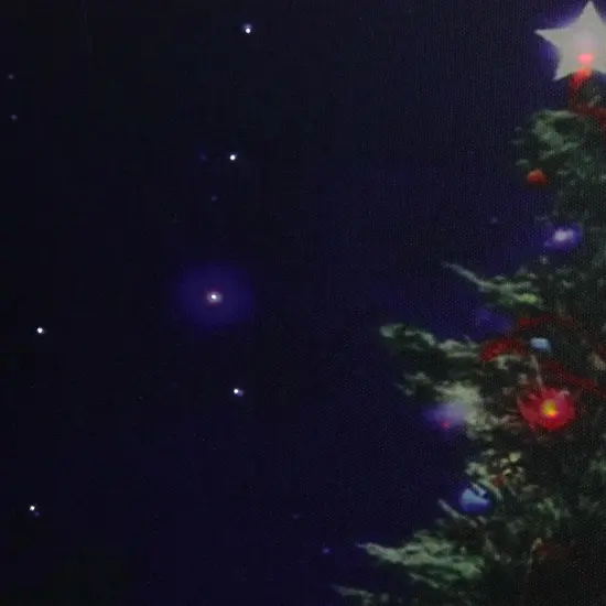 Northlight Fiber Optic and LED Lighted Christmas Tree Canvas Wall Art - 15.5" x 23.5" Green {3}