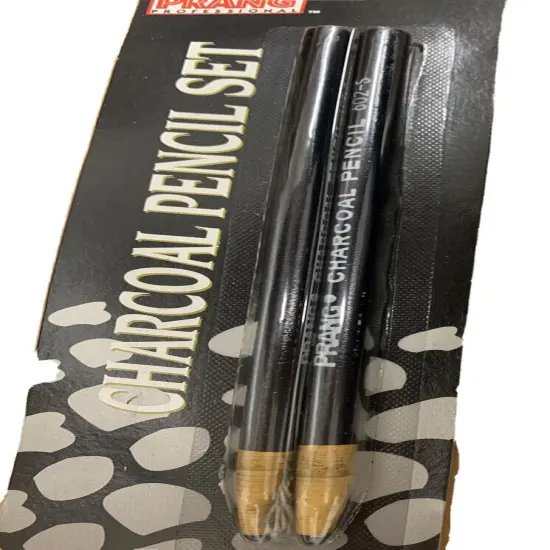 2 Pcs Drawing Artist Set Pencils & Sketch Charcoal Art {2}